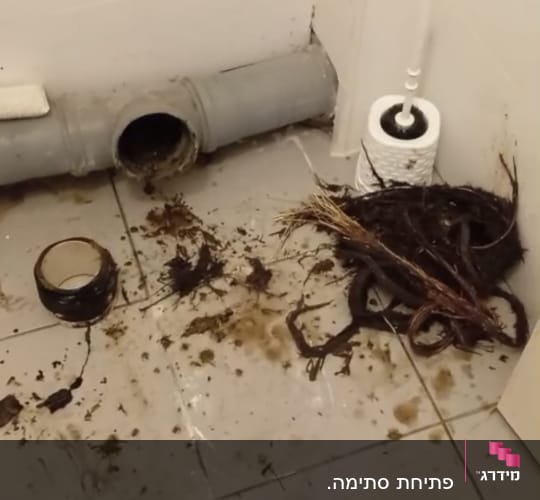 צינור פתוח עם לכלוך וכלים על הרצפה